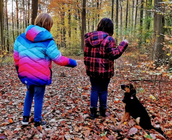 Die EJBL setzt in der tiergestützten Pädagogik Hunde ein