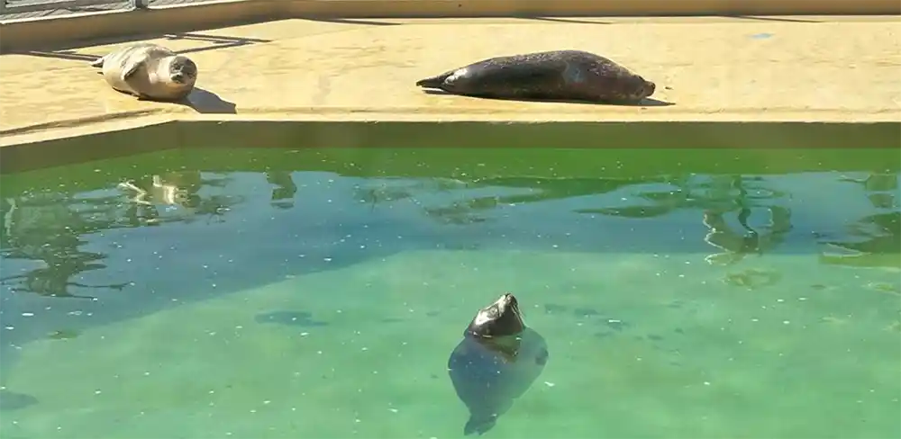 EJBL-Heilpaedagogische-Kinder-Wohngruppe-Ostern-2026-06